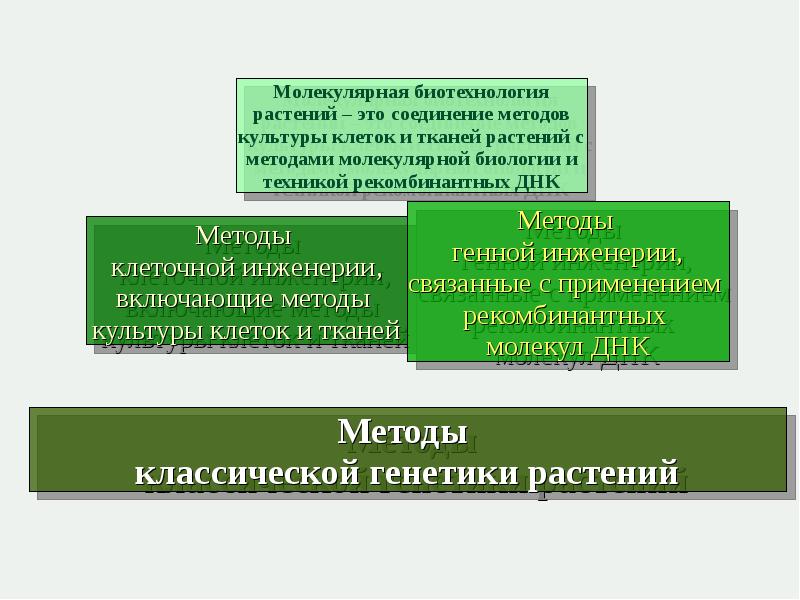 биотехнология в селекции растений.