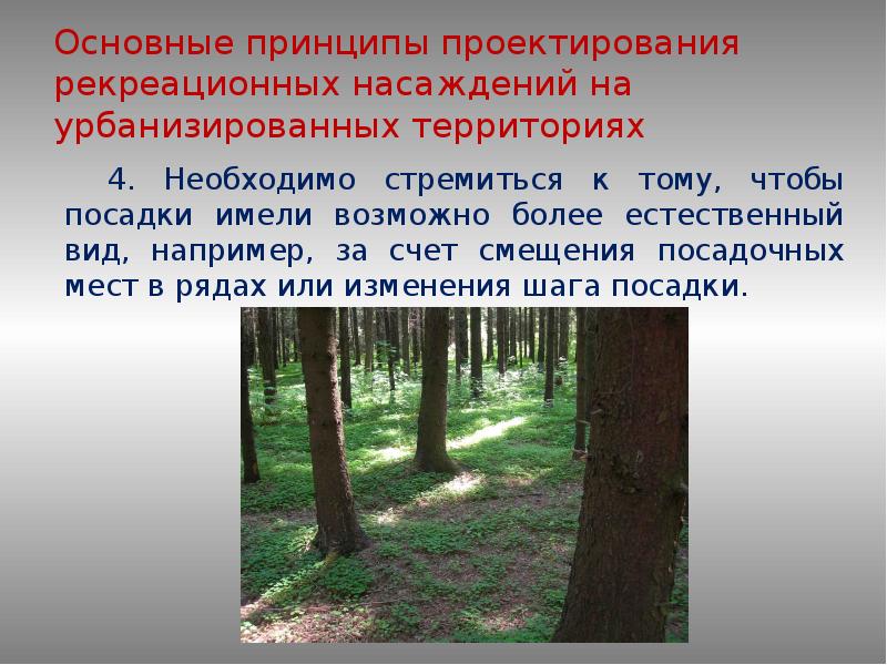 Рекреационное влияние. Рекреационная функция зеленых насаждений. Рекреационный потенциал леса. Рекреационная нагрузка на растения. Значение лесных насаждений.
