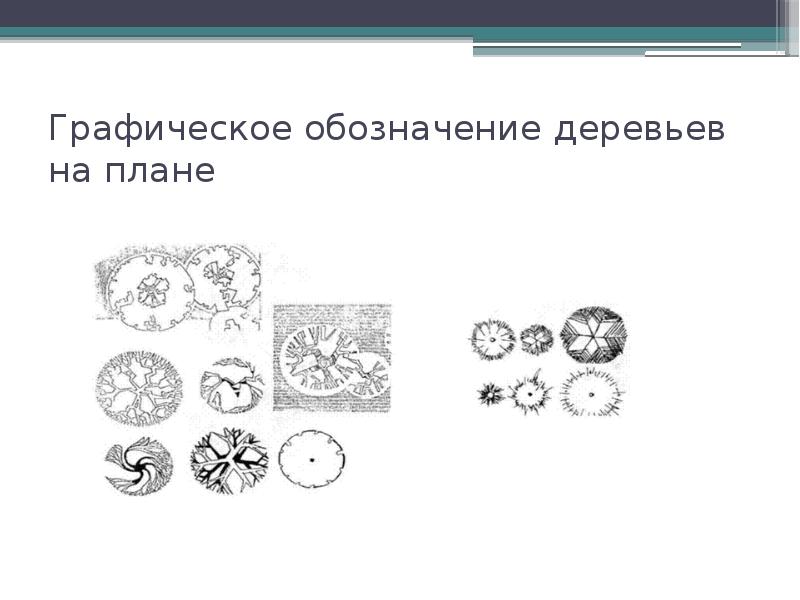 Обозначение ели на плане: найдено 89 картинок