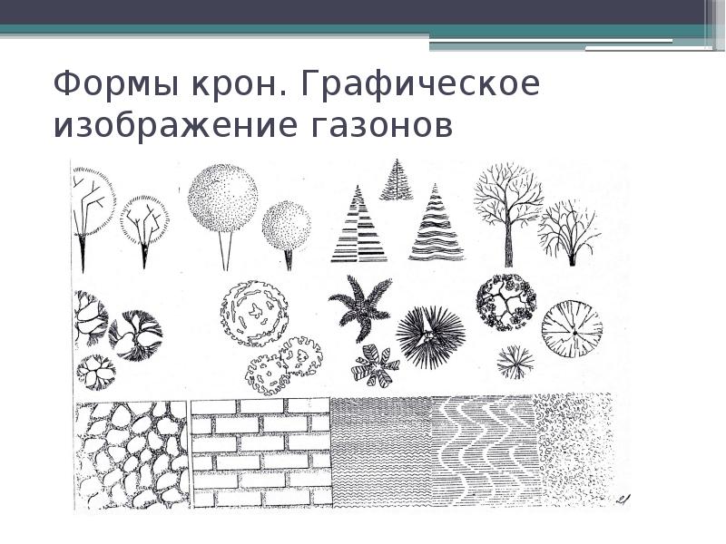 Назовите графические изображения. Как выглядит Графическое изображение. Презентация на тему архитектурная Графика 6 класс. Графическое изображение фактов. Для чего появились графические изображения.