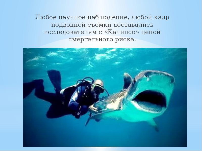 Любое научное наблюдение, любой кадр подводной съемки доставались исследователям с «Калипсо» Любое научное наблюдение, любой кадр подводной съемки доставались исследователям с «Калипсо»