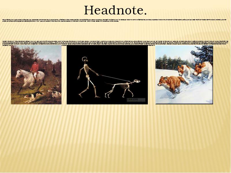 The domestic dog (Canis lupus familiaris) is a subspecies of the