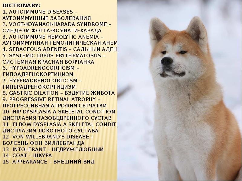 Dictionary: 1. Autoimmune diseases –  Аутоиммунные заболевания 2. Vogt-Koyanagi-Harada syndrome