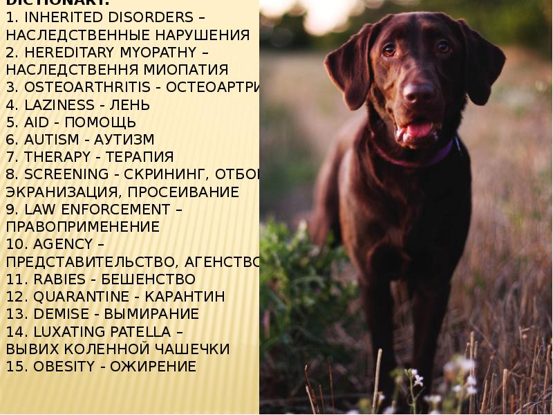 Dictionary: 1. Inherited disorders –  наследственные нарушения 2. Hereditary myopathy