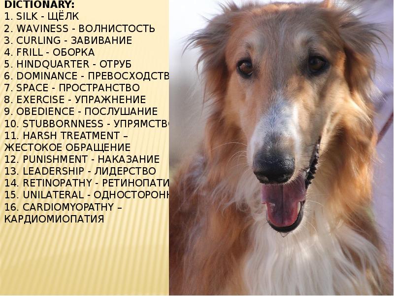 Dictionary:	 1. Silk - Щёлк 2. Waviness - Волнистость 3. Curling