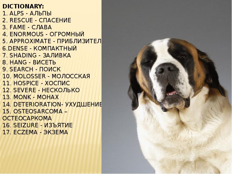 Dictionary: 1. alps - Альпы 2. Rescue - Спасение 3. Fame