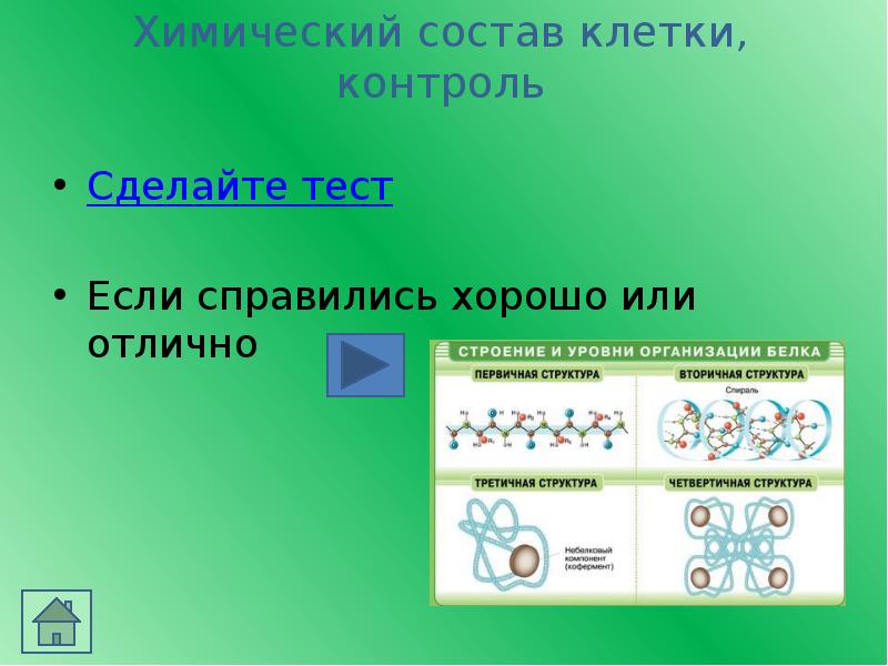 Тест химический состав клетки. Строение и химический состав клетки. Химический состав клетки зачет. Химия клетки 9 класс.