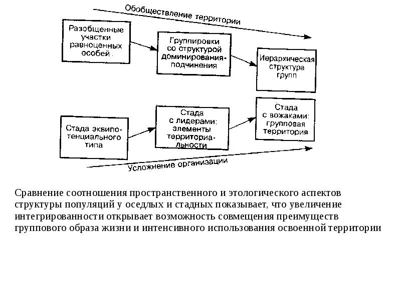 Аспект структуры