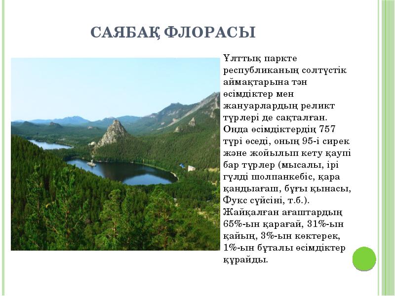 Саябақ флорасы Саябақ флорасы