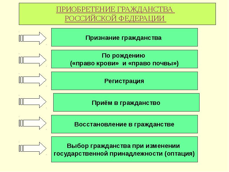 План основы конституционного права