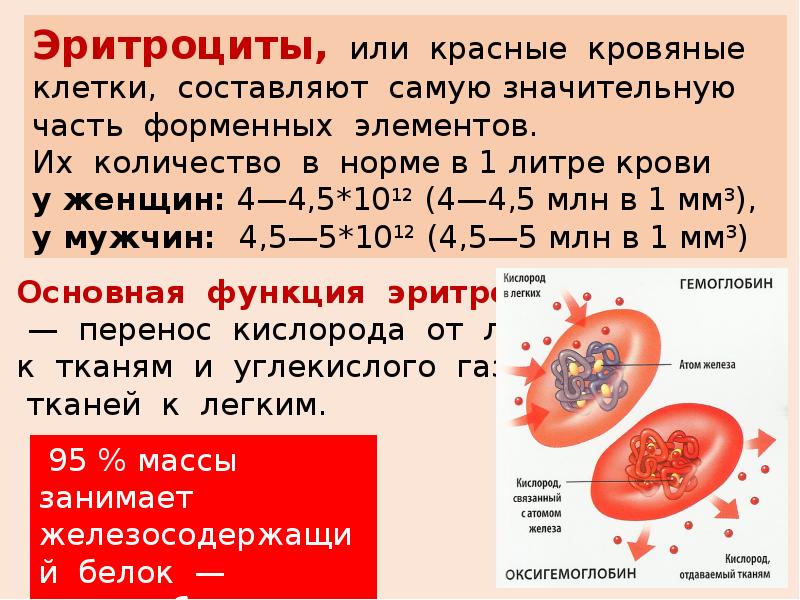 Химический состав крови презентация