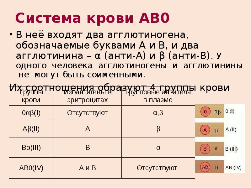 Распространенная группа крови в россии