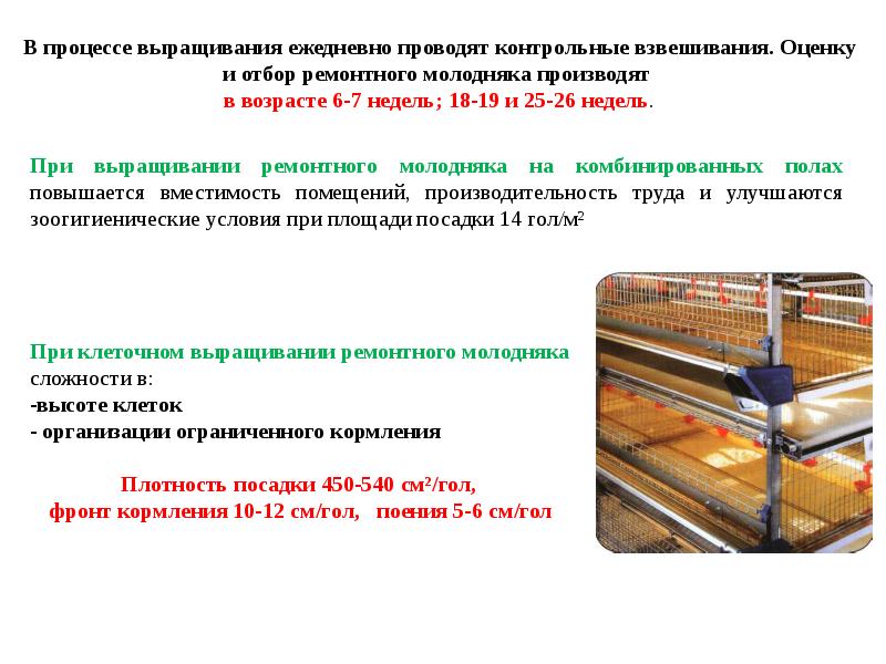 Контрольное взвешивание. Контрольное взвешивание алгоритм. Контрольное взвешивание проводится для. Методика проведения контрольного взвешивания. Контрольное взвешивание ребенка алгоритм.