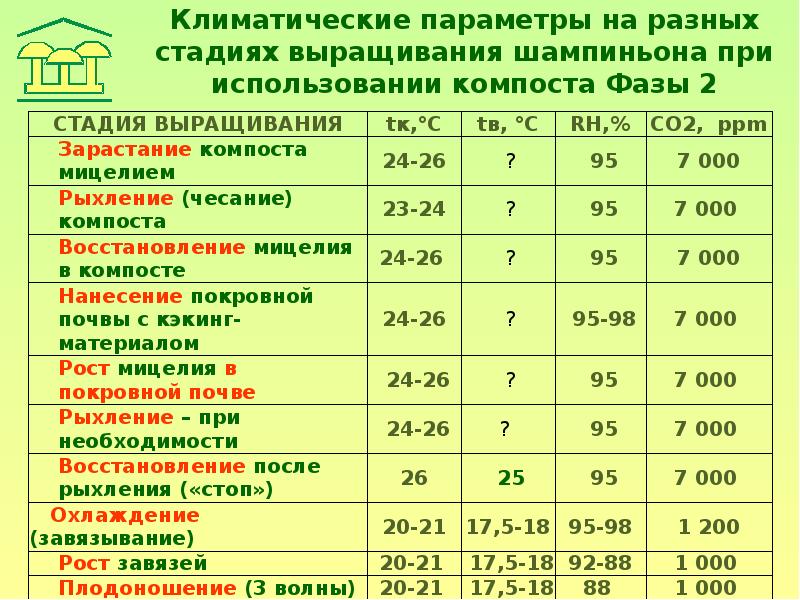 Какая температура нужна для выращивания