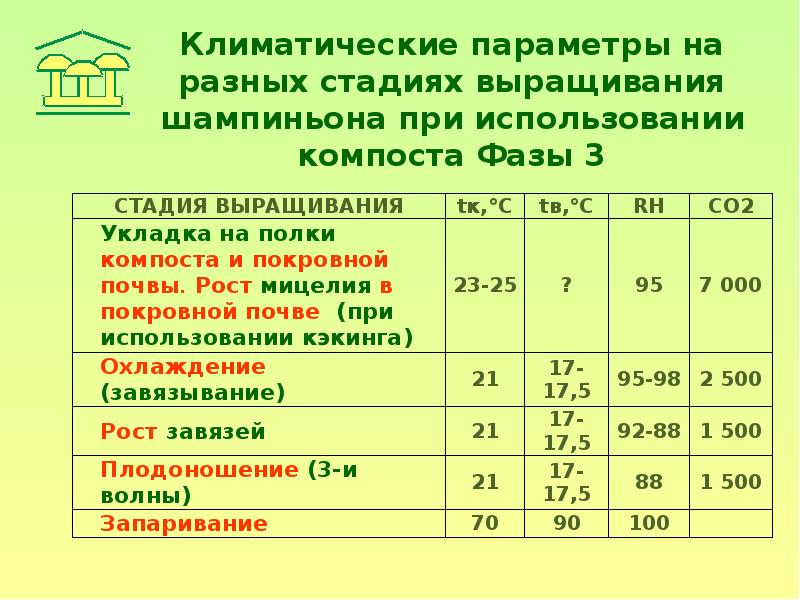 Компост Для Шампиньонов Купить Цена В Туле