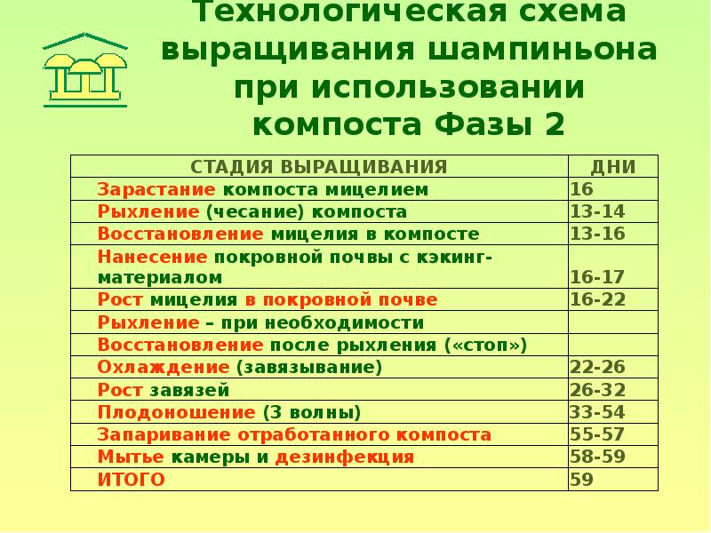 Компост Для Шампиньонов Купить Цена В Туле