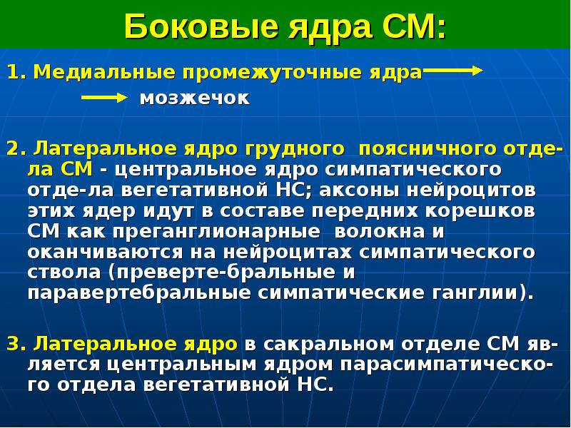 Боковые ядра СМ:
1. Медиальные промежуточные ядра
мозжечок
2. Латеральное ядро грудного поясничного отде-ла СМ - центральное ядро симпатического отде-ла вегетативной НС; аксоны нейроцитов этих ядер идут в составе передних корешков СМ как преганглионарные волокна и оканчиваются на нейроцитах симпатического ствола (преверте-бральные и паравертебральные симпатические ганглии).
3. Латеральное ядро в сакральном отделе СМ яв-ляется центральным ядром парасимпатическо-го отдела вегетативной НС.