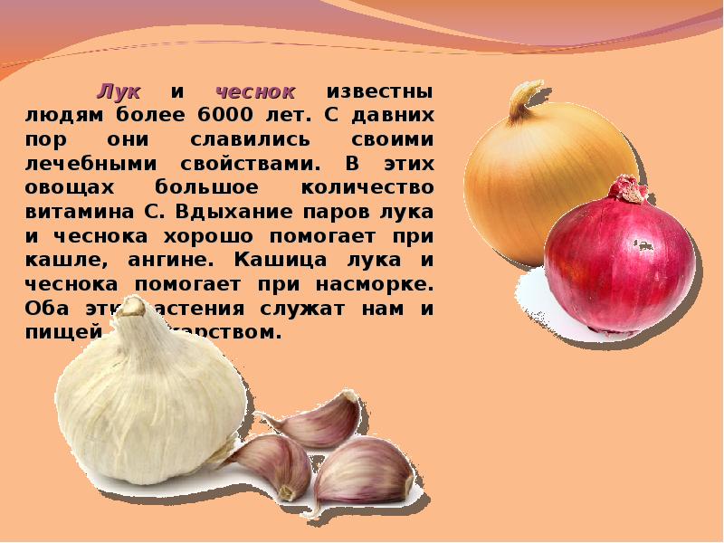 Почему нужно есть много овощей и фруктов презентация 1 класс окружающий мир плешаков конспект урока