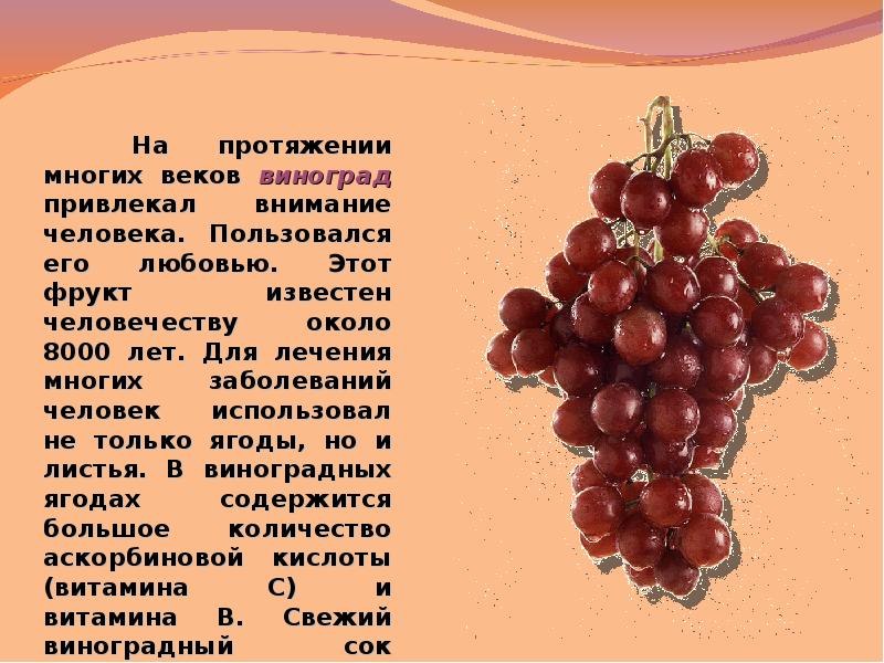 Виноград фрукт или ягода ответ