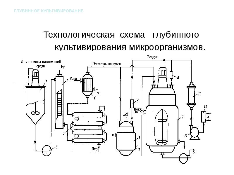 Биотехнология схема производства