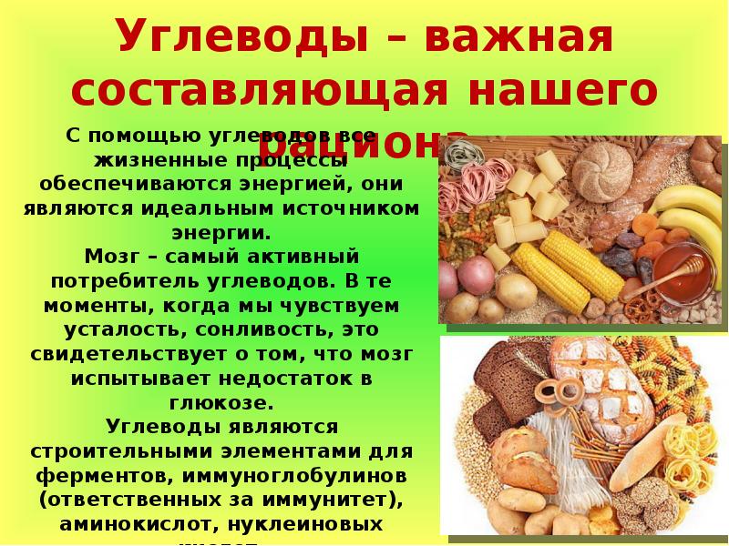 Углеводы в продуктах питания презентация