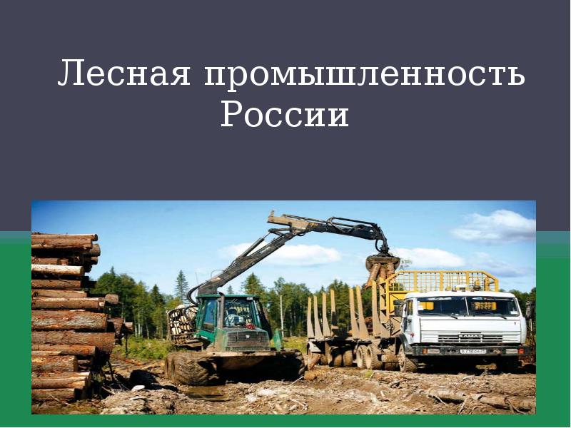 Доклад по теме Лесная промышленность России