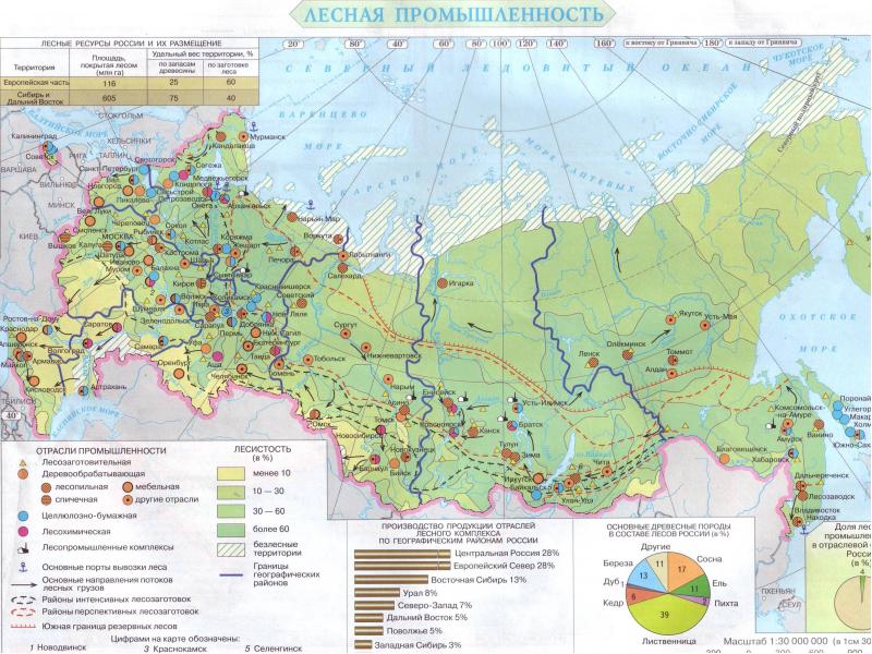 Лесная карта россии