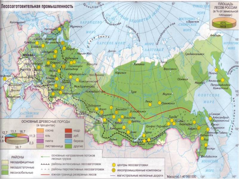 Лесные районы россии карта