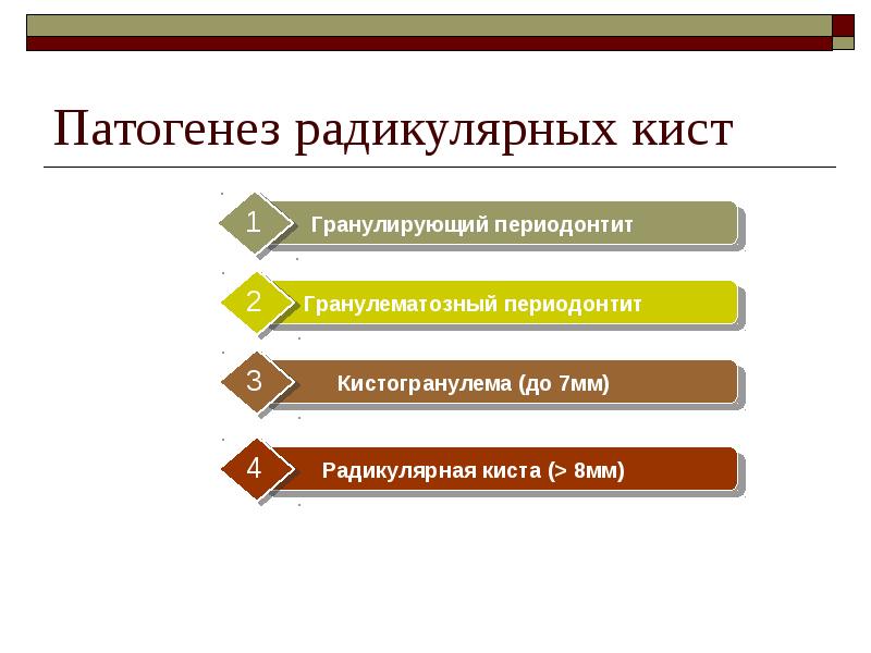 Патогенез радикулярных кист Патогенез радикулярных кист