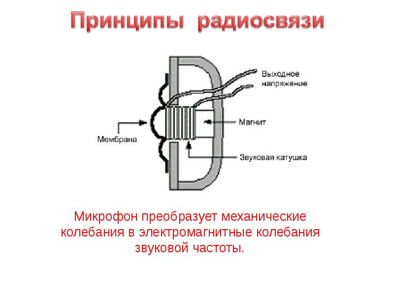 Схема электродинамического катушечного микрофона