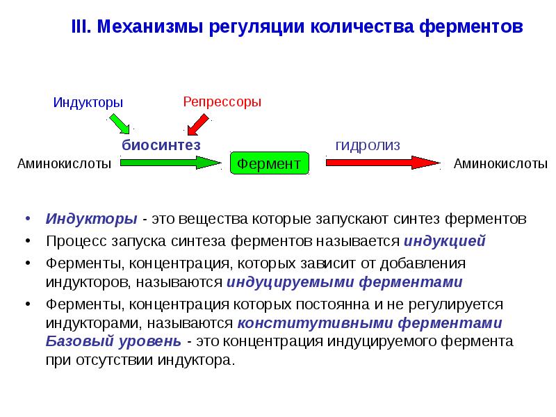 Презентация на тему ферменты