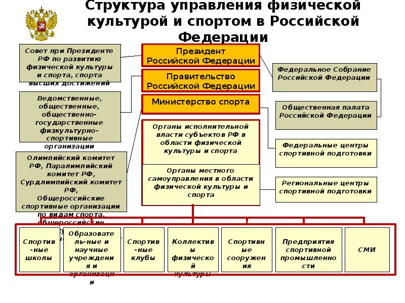 Система министерств. Структура управления физической культурой и спортом в РФ. Структура управления физической культурой и спортом в Российской. Структура управления физической культурой и спортом в РФ схема. Структура Министерства спорта РФ схема.