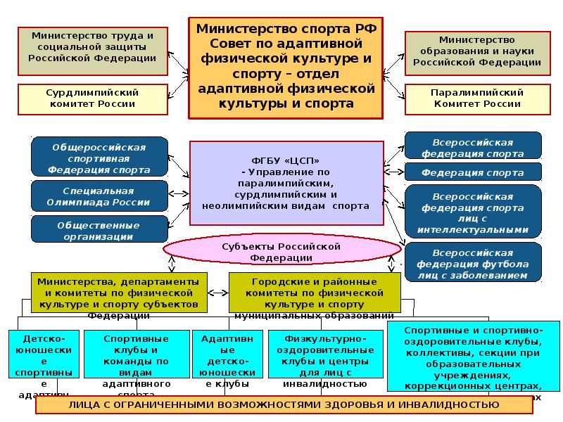 Национальные проекты в сфере физической культуры и спорта