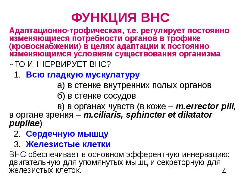 Функциональная анатомия вегетативной нервной системы презентация