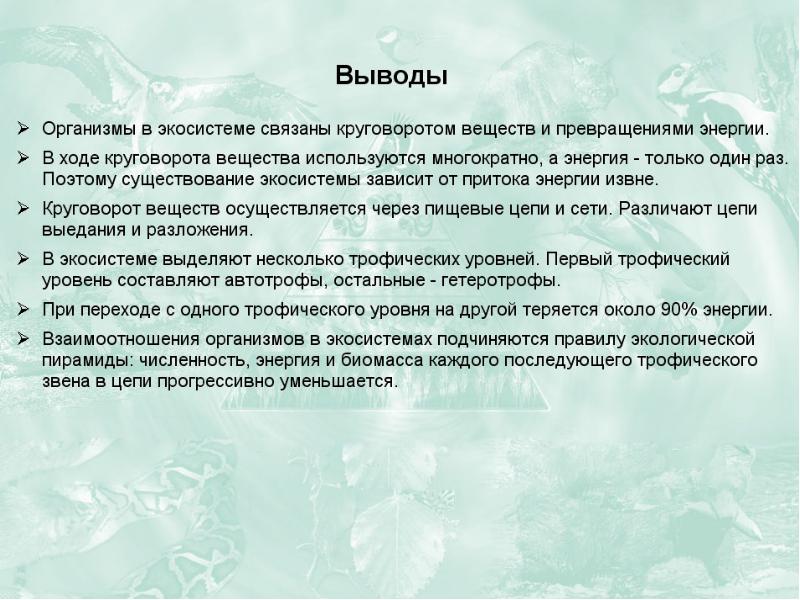 Презентация потоки вещества и энергии в экосистеме 9