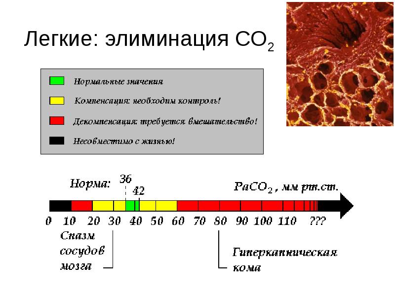 Кислотно основное состояние презентация