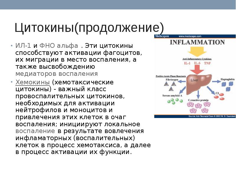 Цитокиновый шторм картинки