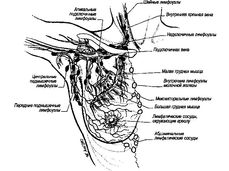 Где находится схема