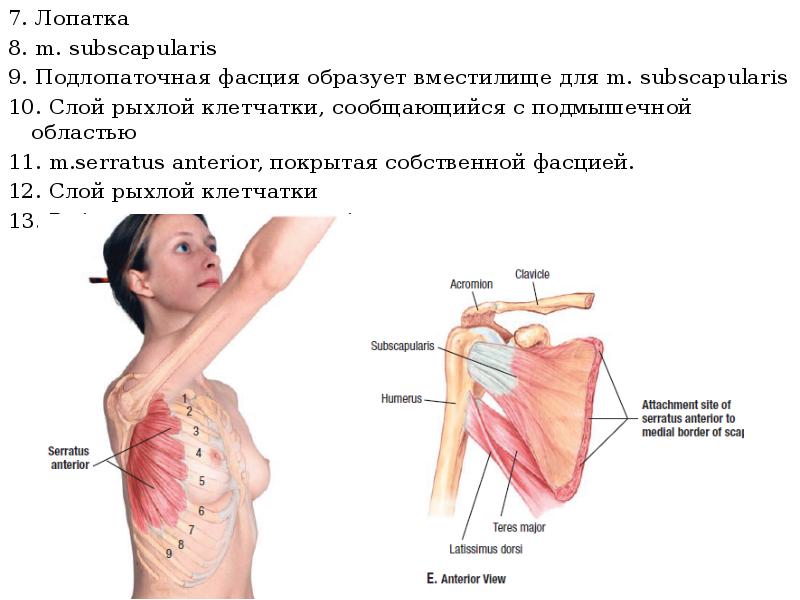 Миозит грудной мышцы