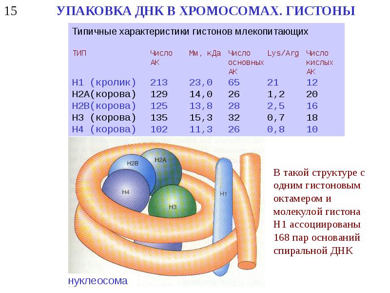 Молекулярная биология картинки