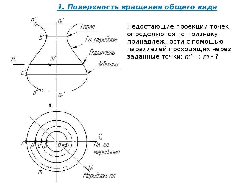 Экватором поверхности вращения показанной на чертеже является линия