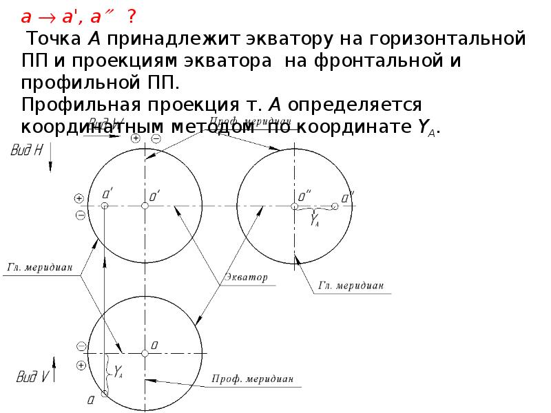 Какие точки принадлежат. Какая точка принаджелит эватору сферы. Точка а принадлежит сфере на чертеже. Презентация кривые линии и поверхности. Точка принадлежит экватору.