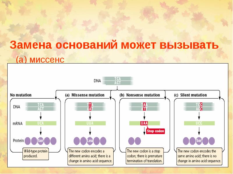 Химический канцерогенез презентация