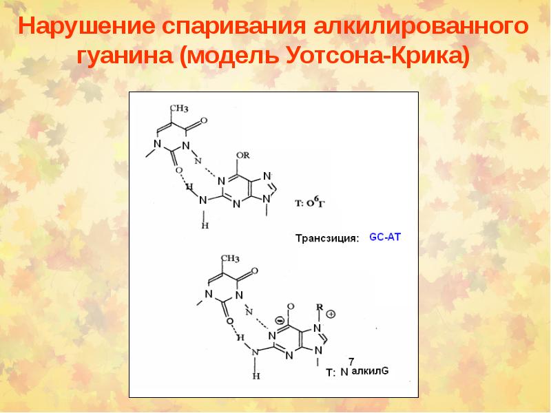 Химический канцерогенез презентация