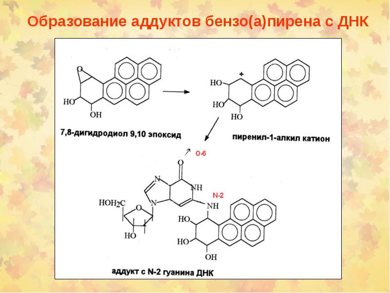 Химический канцерогенез презентация