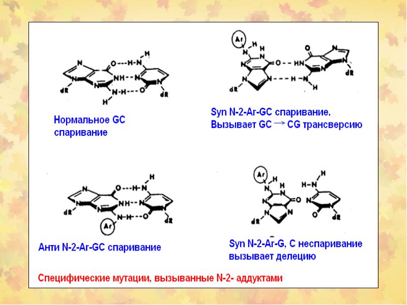 Химический канцерогенез презентация