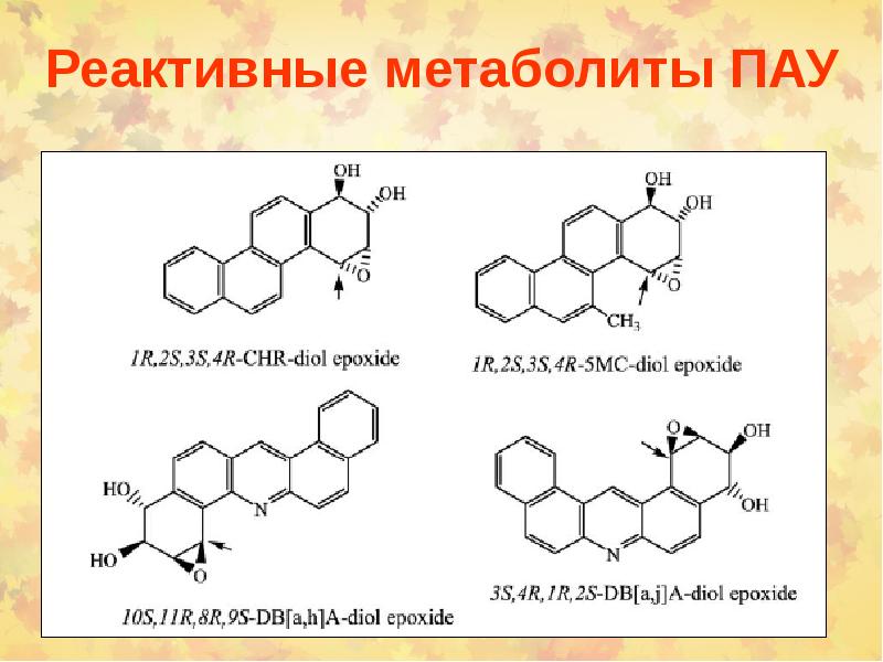 Мутагены канцерогены аллергены антимутагены проект