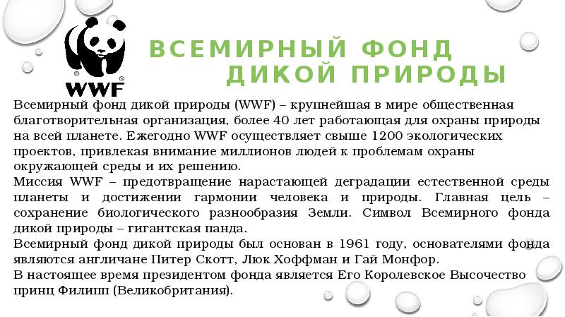 Презентация на тему wwf