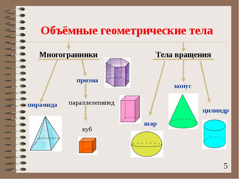 Объёмные геометрические тела Объёмные геометрические тела