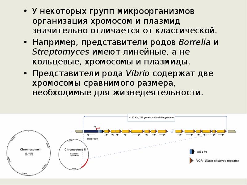 Исследование рода